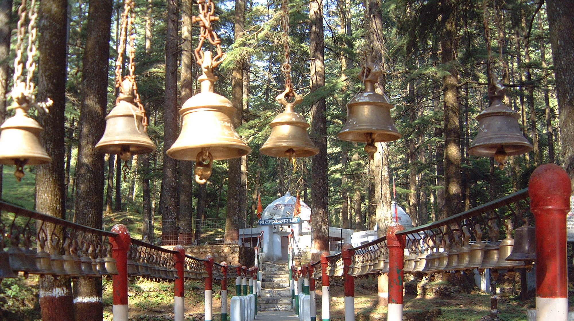 Tarkeshwar-sacred-grove