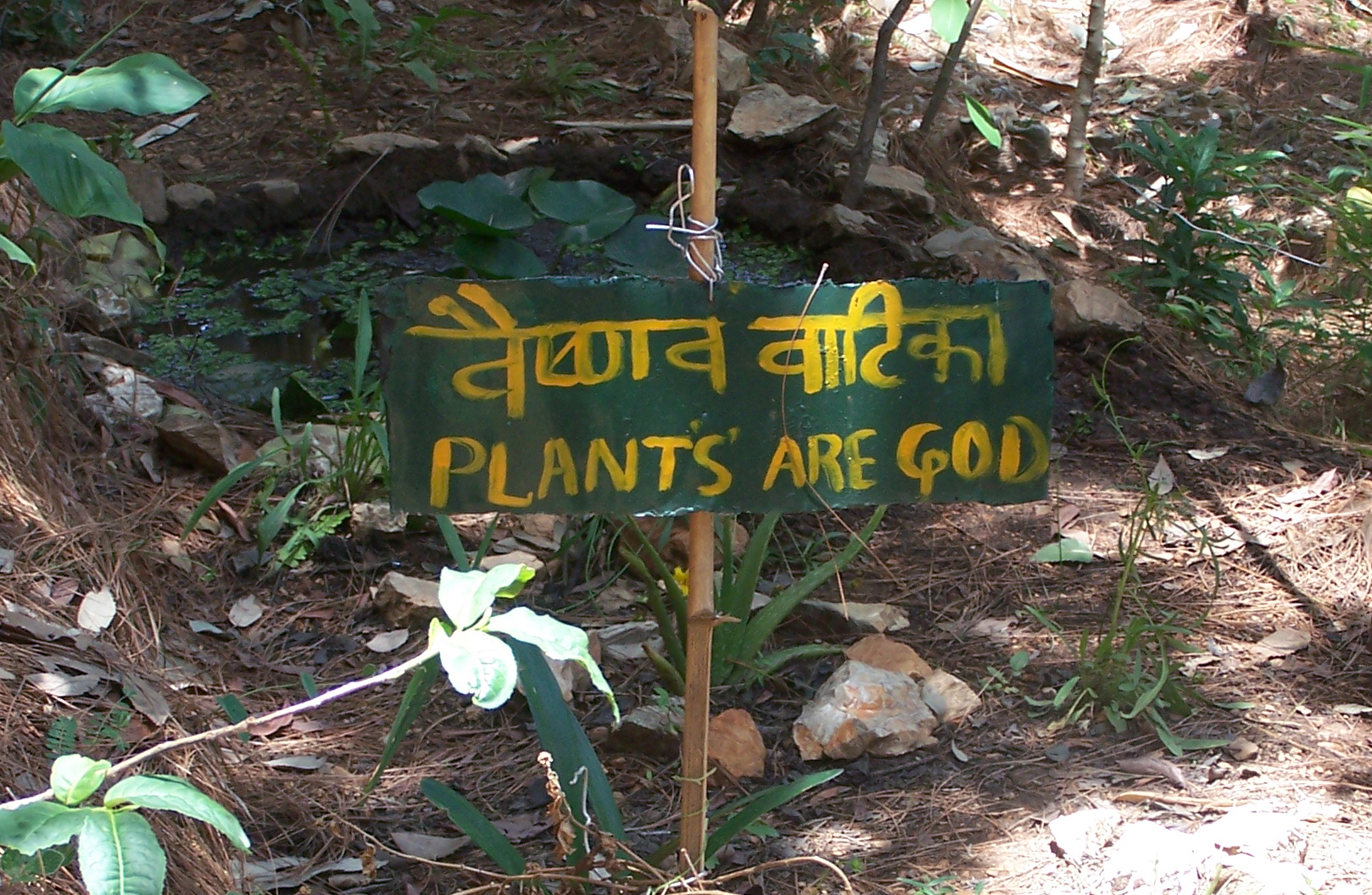 plants-are-god
