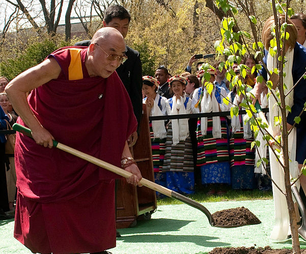 hh-dalai-lama-tree