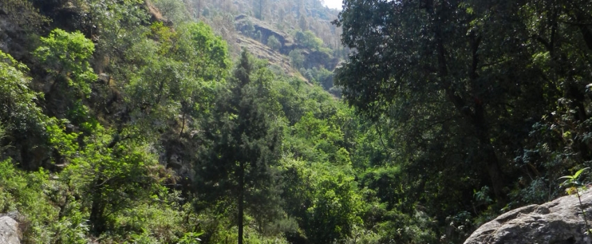 Bheruji-sacred-grove Bheruji-sacred-grove
