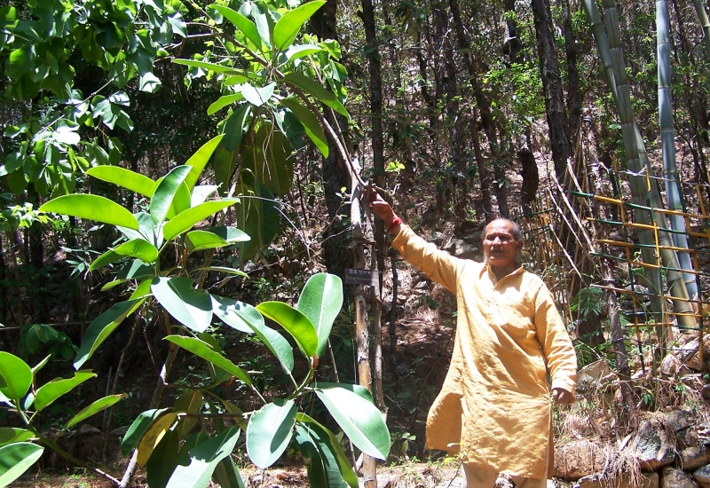 active-remedy-news-junglee-3 active-remedy-news-junglee-3