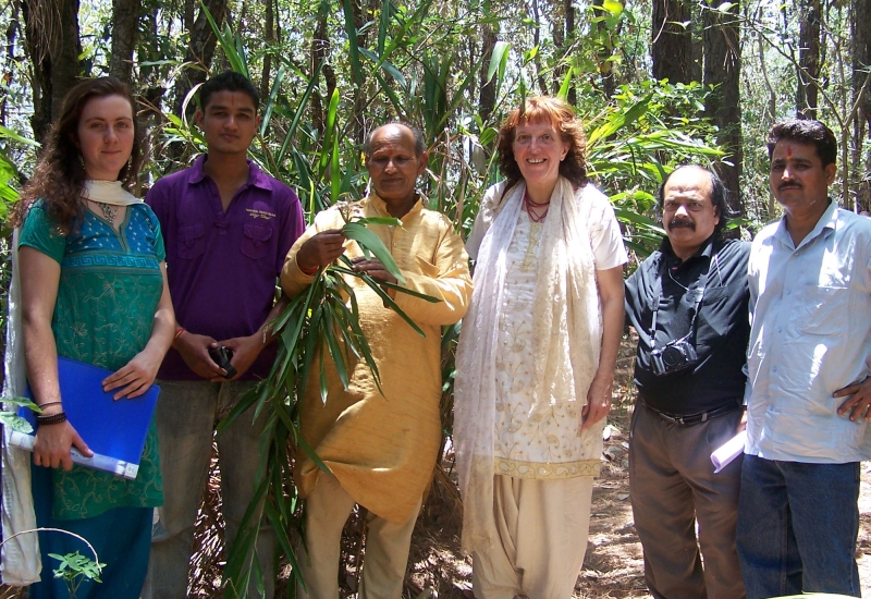 active-remedy-news-junglee active-remedy-news-junglee